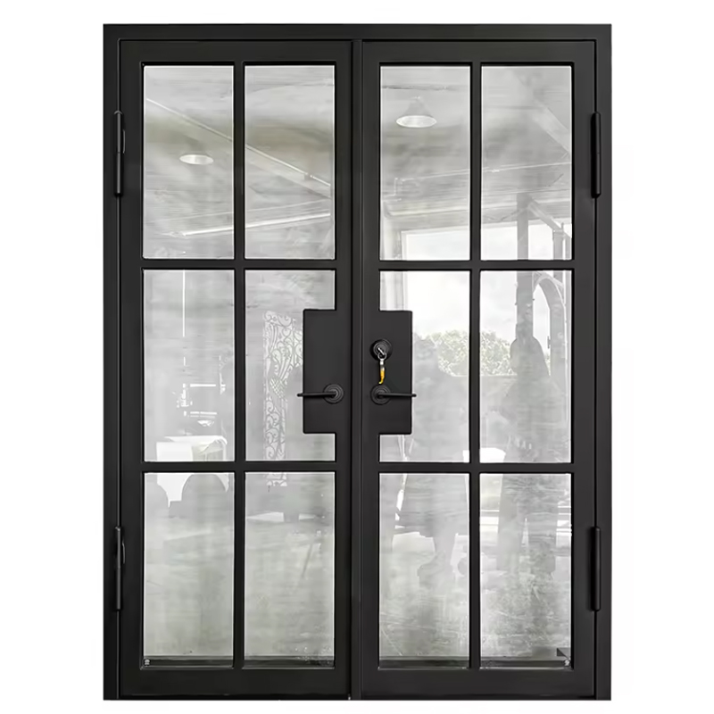 French wrought iron entry door
